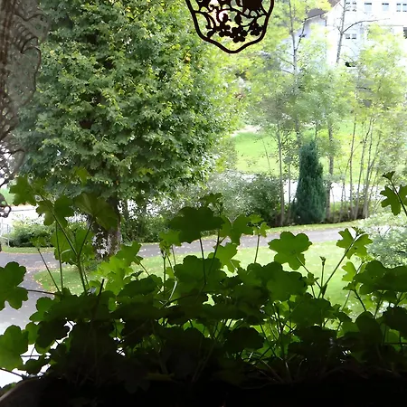 Gaestehaus Brigitte Kienzler