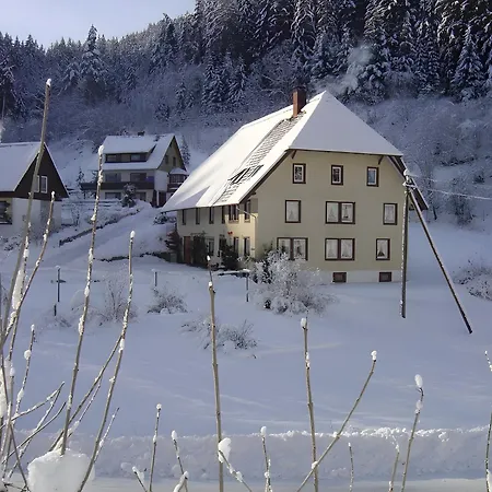 Prázdninový dům Gaestehaus Brigitte Kienzler Triberg im Schwarzwald