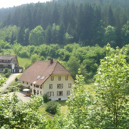 Gaestehaus Brigitte Kienzler Prázdninový dům Triberg im Schwarzwald