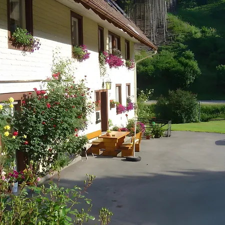 Prázdninový dům Gaestehaus Brigitte Kienzler Triberg im Schwarzwald